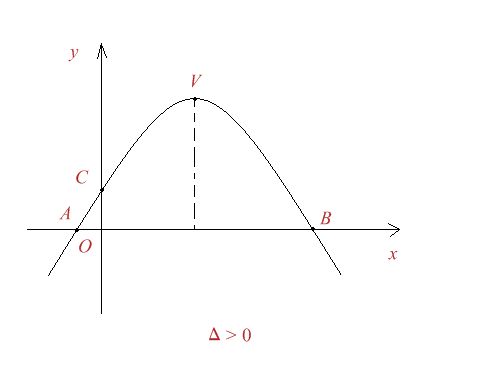 Figura 5